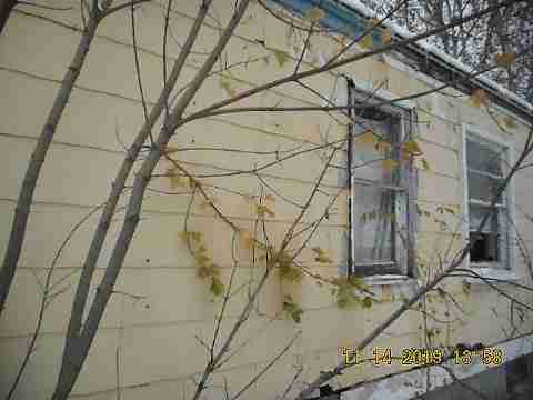 14377 Stout (14)_m.jpg